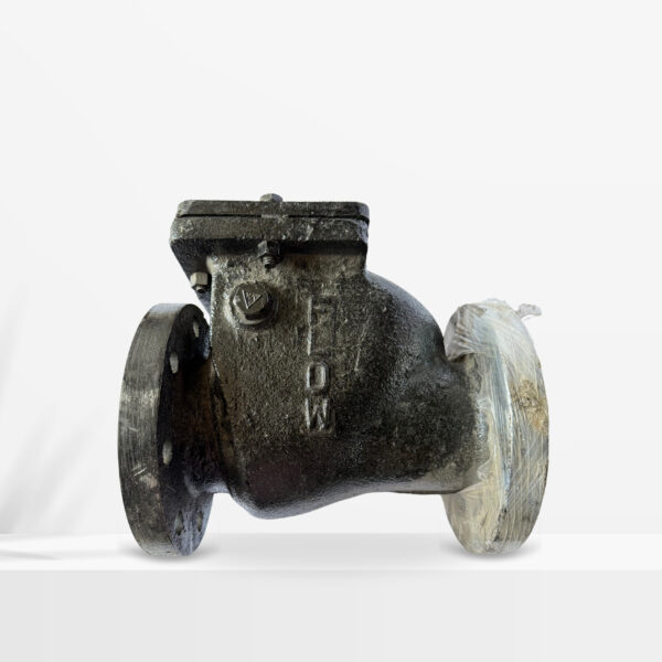 CAST IRON ON RETURN VALVE - Image 2